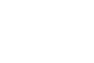 Los calvitos