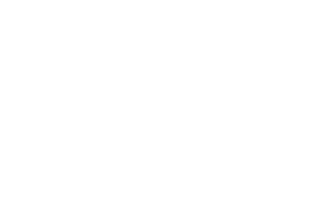 Mini calvitos